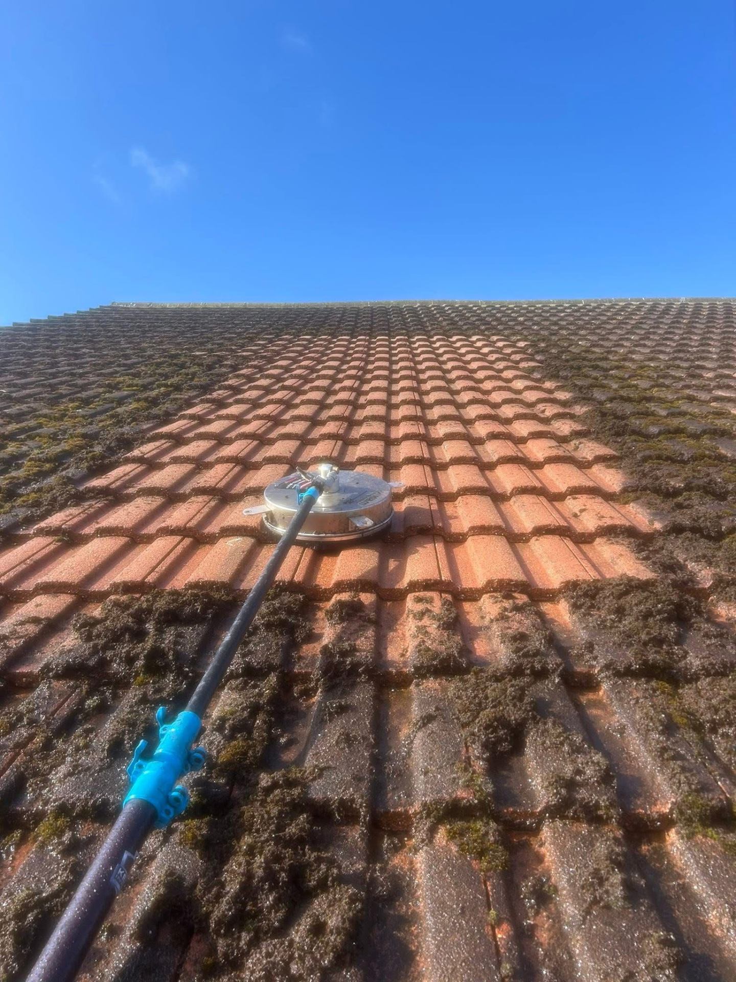 Mossy tiled roof before cleaning — close-up in South Wales
