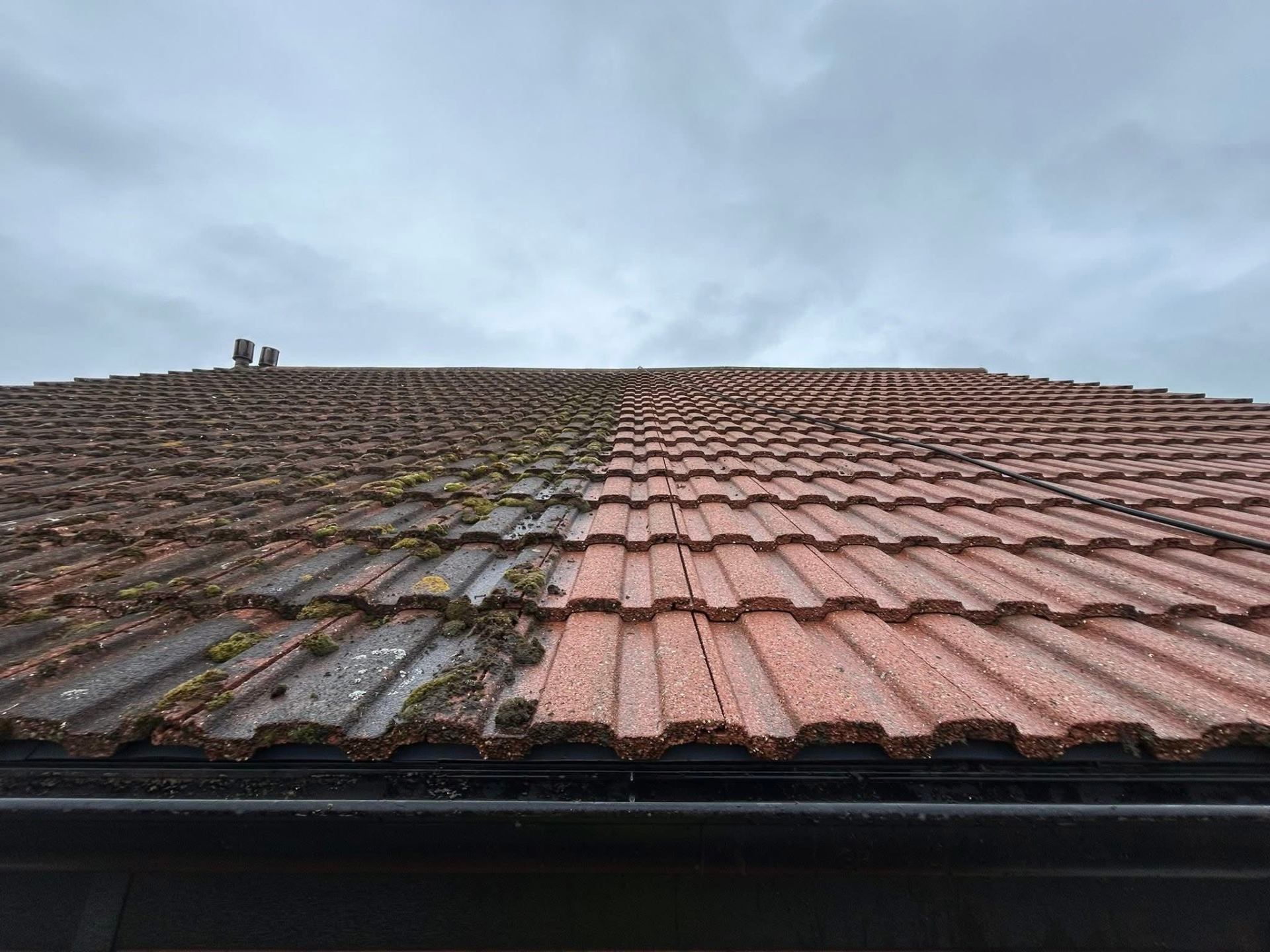 Half-cleaned roof showing the dramatic contrast after moss removal